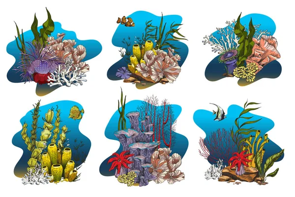 Koloni terumbu karang dengan rumput laut, laminaria, rumput laut dan ikan - ilustrasi vektor sketsa berwarna. - Stok Vektor