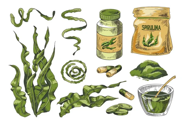 Ensemble coloré dessiné à la main d'éléments en spiruline isolés sur fond blanc. Illustration vectorielle des algues vertes. Super aliment sain à base de spiruline. — Image vectorielle
