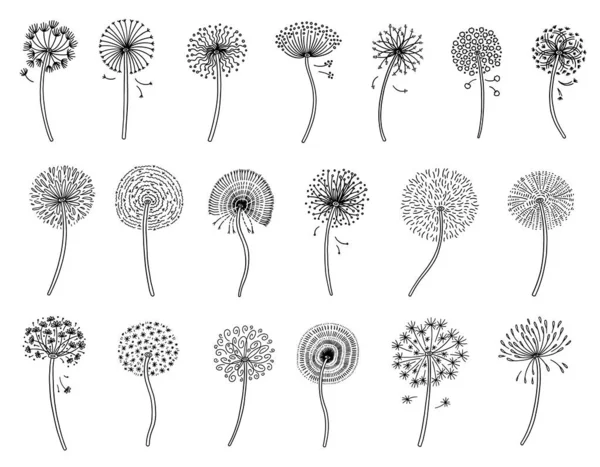 Fleurs de pissenlit avec des graines duveteuses dessinées à la main ensemble de silhouette vectorielle. Diverses plantes de pissenlit soufflant. — Image vectorielle