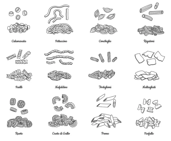 Uppsättning av olika typer av italiensk pasta i skiss vektor illustration — Stock vektor