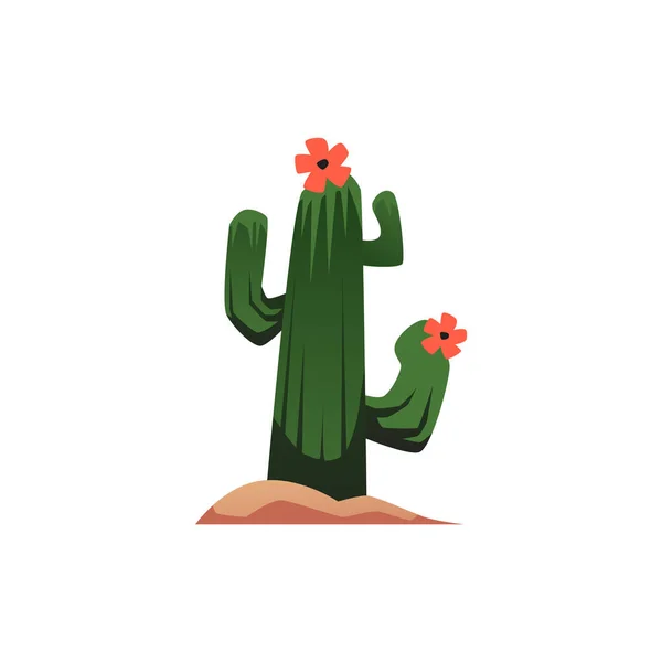 Cactus with blooming flowers in the desert, flat vector illustration isolated on white background. — Stock Vector