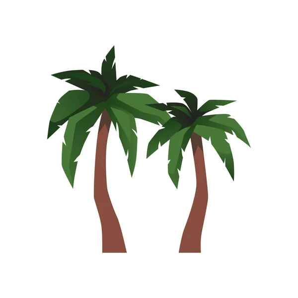 Beyaz arkaplanda izole edilmiş tropikal palmiye ağaçları düz vektör çizimi. — Stok Vektör