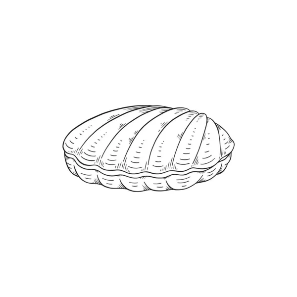 Closed sea shell in hand drawn monochrome sketch style, vector illustration isolated on white background. — Stock Vector