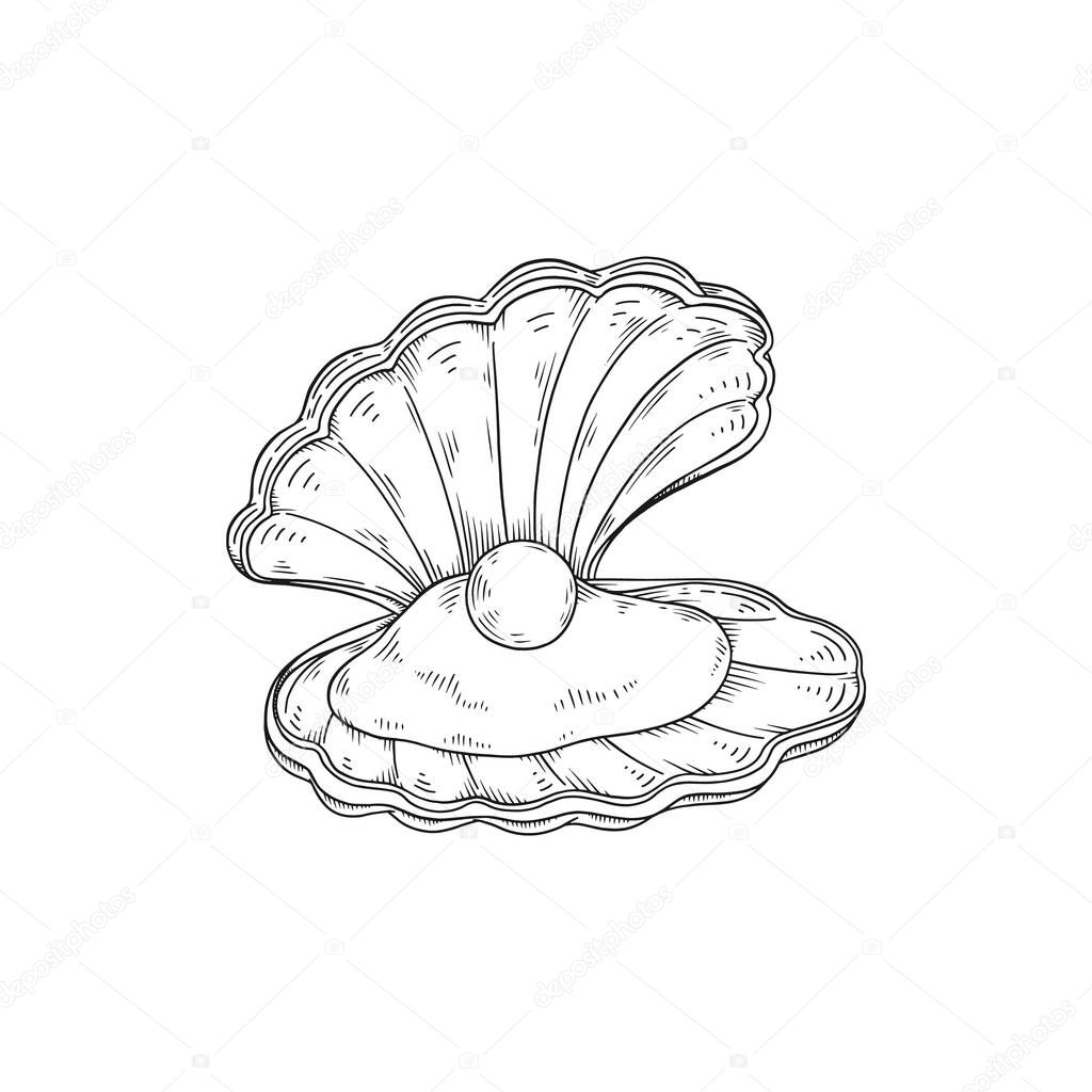 Seashell mollusk with pearl inside in hand drawn sketch style, vector illustration isolated on white background.