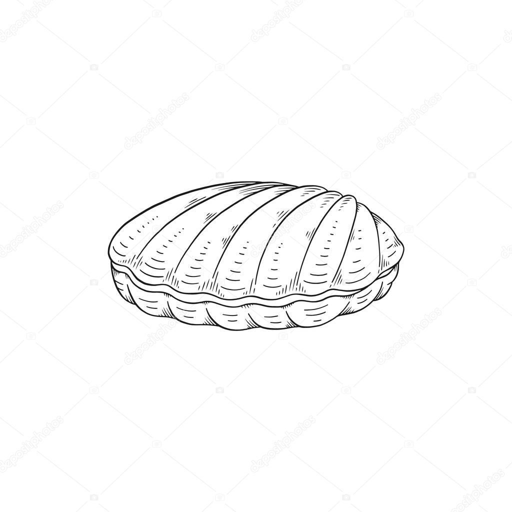 Closed sea shell in hand drawn monochrome sketch style, vector illustration isolated on white background.