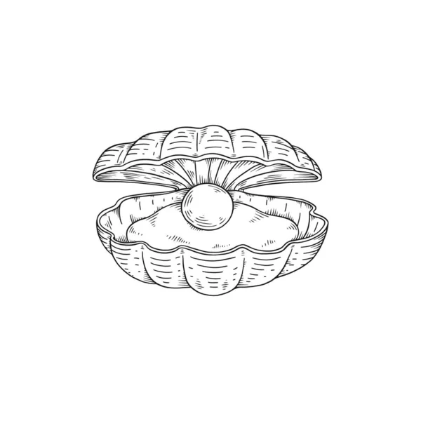 Elegante Muschel mit Weichtier und Perle im Inneren, monochrome Skizzenvektorillustration isoliert auf weißem Hintergrund. — Stockvektor
