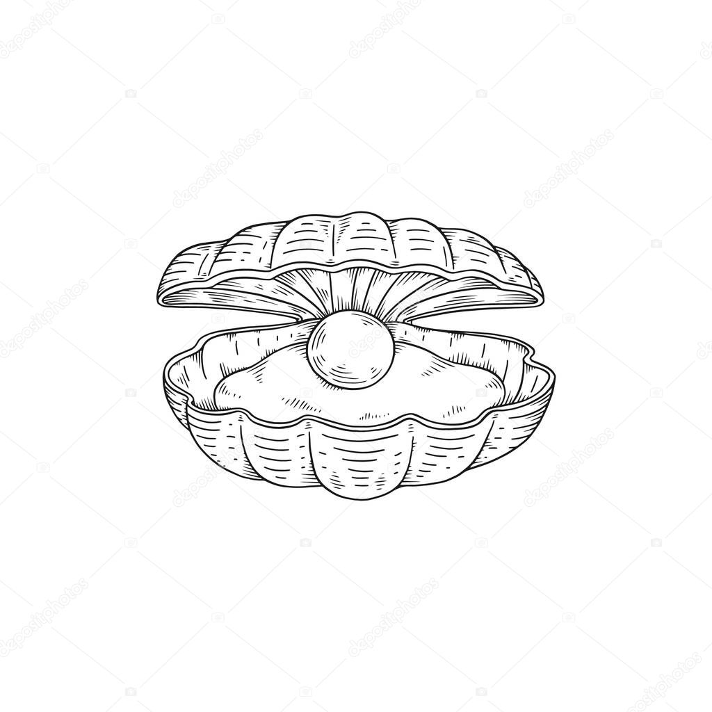 Elegant seashell with mollusk and pearl inside, monochrome sketch vector illustration isolated on white background.