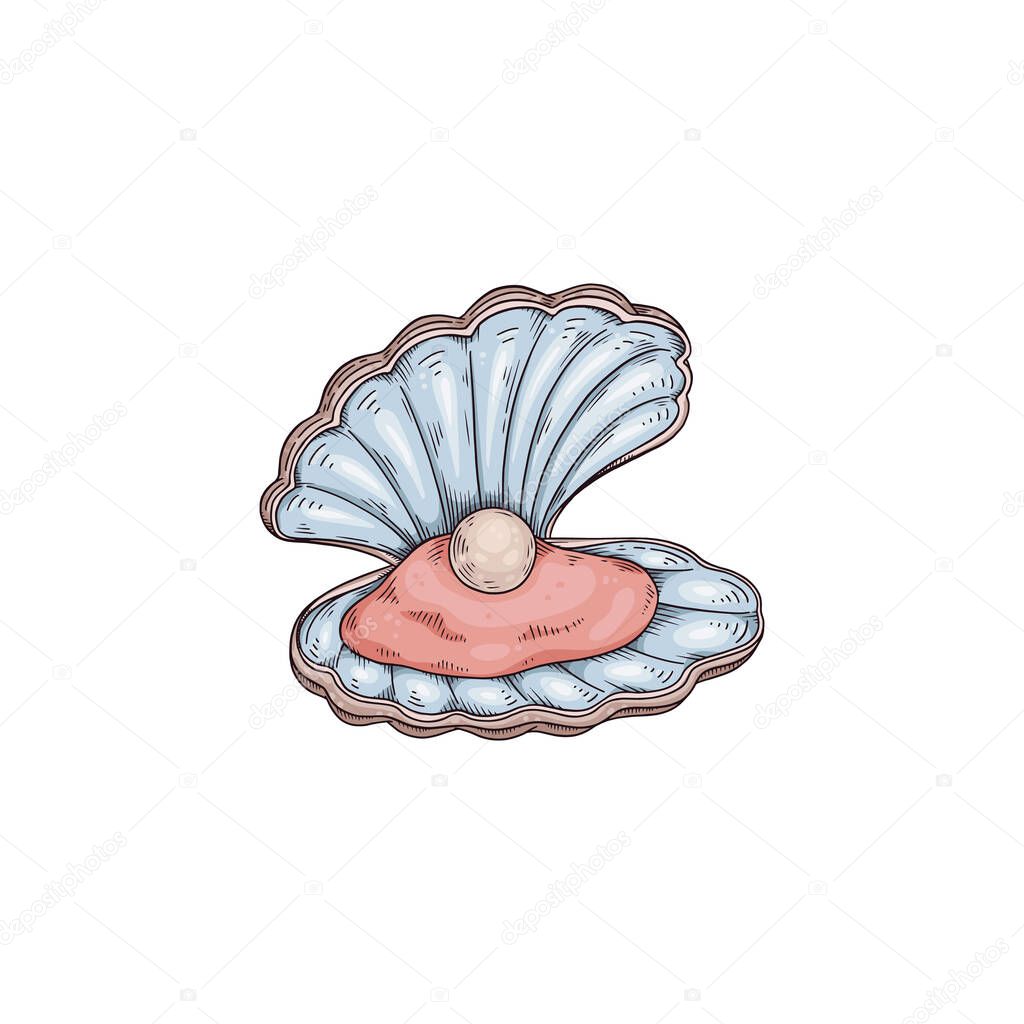 Seashell with mollusk and pearl in colored sketch style, vector illustration isolated on white background.