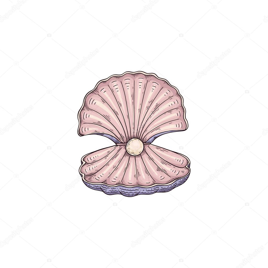 Seashell with pearl inside in colored sketch style - vector illustration isolated on white background.