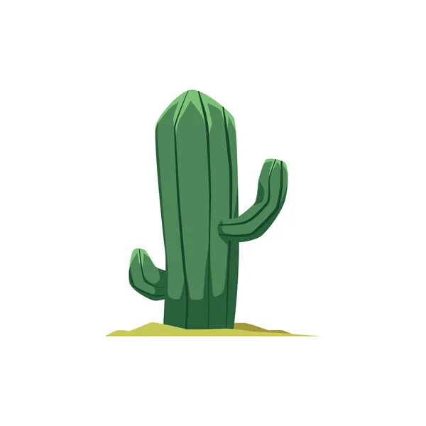 Desert cactus plant flat cartoon vector illustration isolated on white. - Stok Vektor