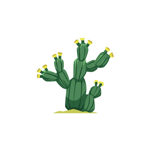 Planta de cactus del desierto floreciente dibujo animado plano vector ilustración aislado. — Vector de stock