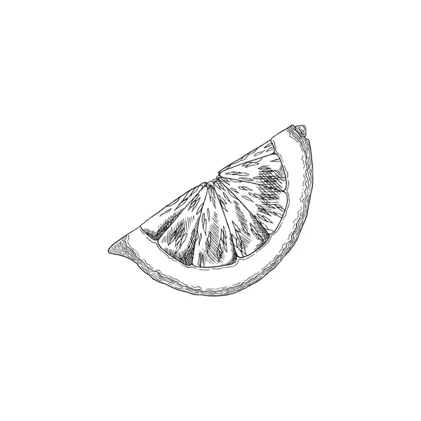 Corte de limón segmento de fruta dibujado a mano dibujo estilo vector ilustración aislado. — Vector de stock