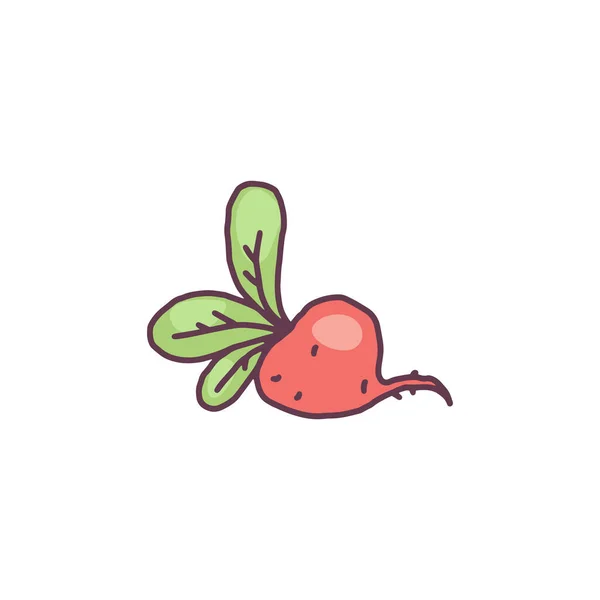Handgezeichnetes Rote-Bete-Gemüse, Doodle-Vektordarstellung isoliert auf weißem Hintergrund. — Stockvektor