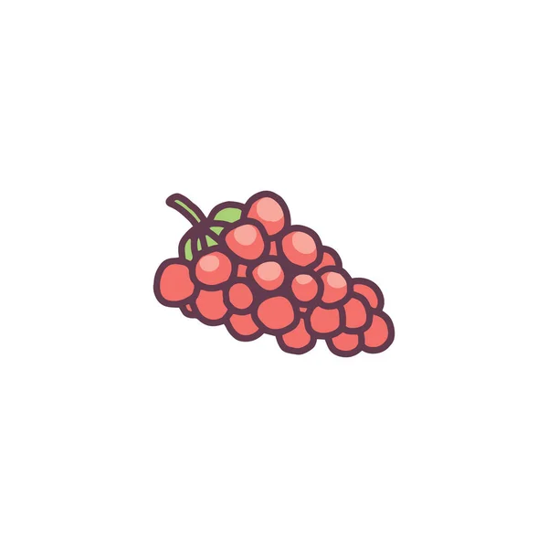 Branche de raisin dessinée à la main dans le style doodle, illustration vectorielle isolée sur fond blanc. — Image vectorielle
