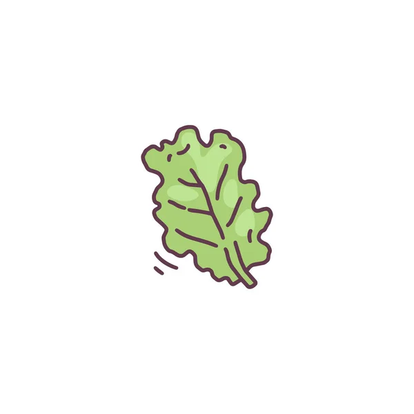 Ensalada de lechuga hoja verde fresca dibujado a mano doodle vector ilustración aislado. — Archivo Imágenes Vectoriales