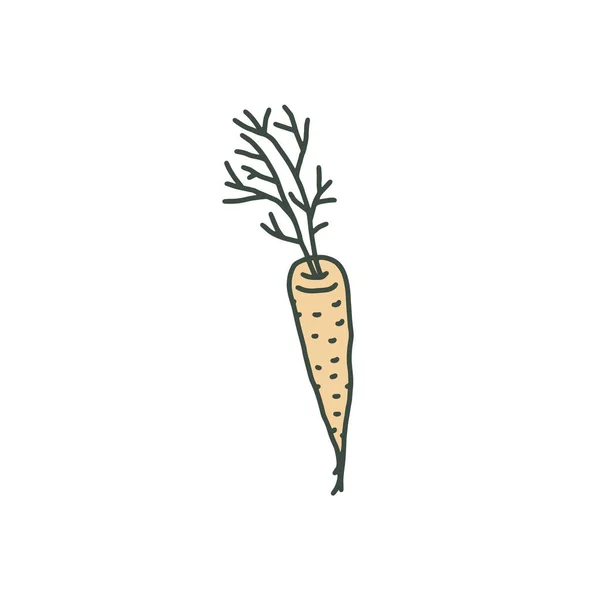 Karottengemüse im handgezeichneten Doodle-Stil, Vektorillustration isoliert auf weißem Hintergrund. — Stockvektor
