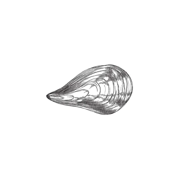 Mossel in gesloten schaal, monochrome schets vector illustratie geïsoleerd op witte achtergrond. — Stockvector