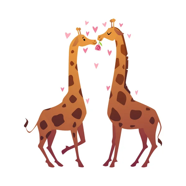 Żyrafy Miłości Całuje Animowany Płaski Wektor Ilustracji Izolowane Białym Tle — Wektor stockowy
