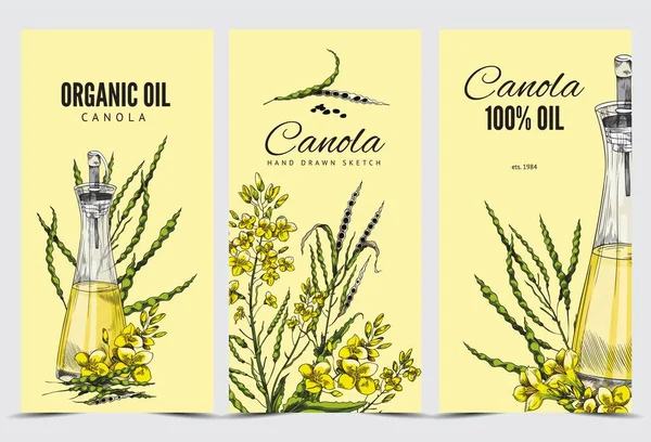 Canola Olie Etiketten Vintage Stijl Met Hand Getekend Vector Illustratie — Stockvector