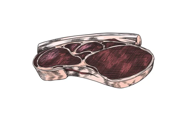 手描きの肉スケッチスタイル 白い背景に隔離されたベクトルイラストの作品 バーベキューやグリルのコンセプト メニュー カード バナーのための食品デザイン要素 — ストックベクタ