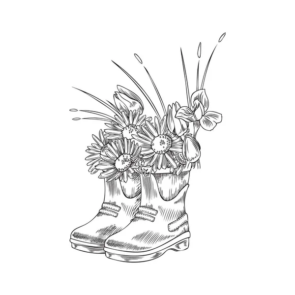 Welly drawing top