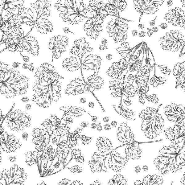 Motif Sans Couture Branches Feuilles Coriandre Croquis Vectoriel Illustration Monochrome — Image vectorielle