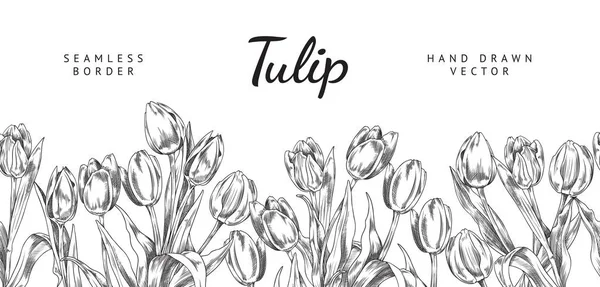 Flores Tulipán Borde Sin Costuras Dibujo Mano Ilustración Vector Sobre — Archivo Imágenes Vectoriales