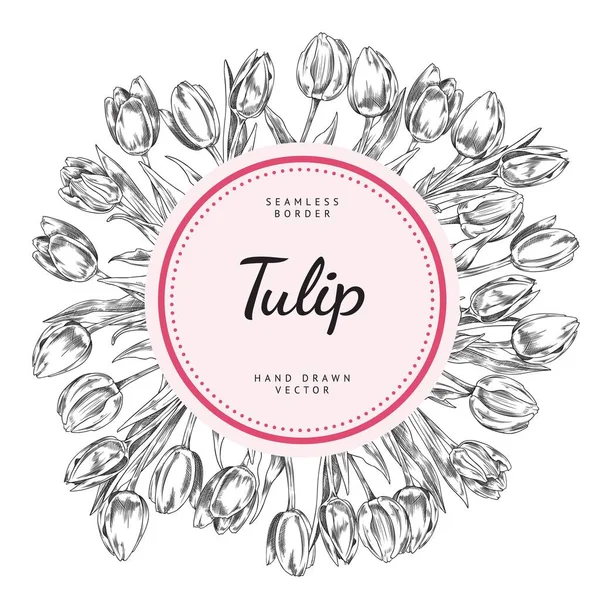 Kézzel Rajzolt Tulipánágak Virág Elszigetelt Fehér Háttérrel Vintage Vektor Illusztráció — Stock Vector
