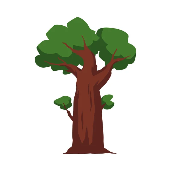 巨大な落葉高密度クラウン 白の背景に隔離されたフラット漫画ベクトルイラストを持つ大きな木 緑の葉を持つ夏の森の植物 — ストックベクタ