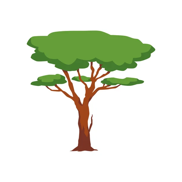 Árbol Con Copa Densa Verde Ramas Ilustración Vectorial Plana Dibujos — Vector de stock