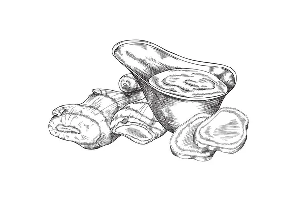 スパイシーな生姜ソースやディップ 白い背景に隔離されたスケッチベクトルイラスト 新鮮な生姜を手描きし テクスチャを彫刻で浸します メニュー設計のためのモノクローム食品要素 — ストックベクタ