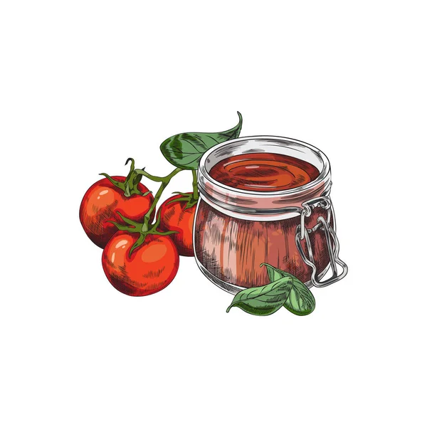 Salsa Pomodoro Fresco Ketchup Vaso Vetro Illustrazione Vettoriale Schizzo Isolato — Vettoriale Stock