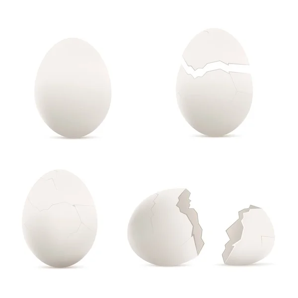 Cracked Whole White Blank Eggs Template Realistic Vector Illustration Isolated — Archivo Imágenes Vectoriales