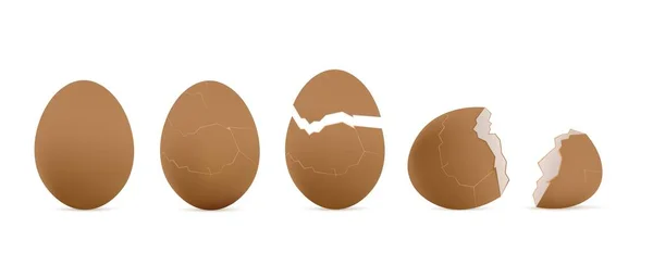 Cracked Whole Chicken Eggs Brown Shells Realistic Template Vector Illustration — Stockový vektor