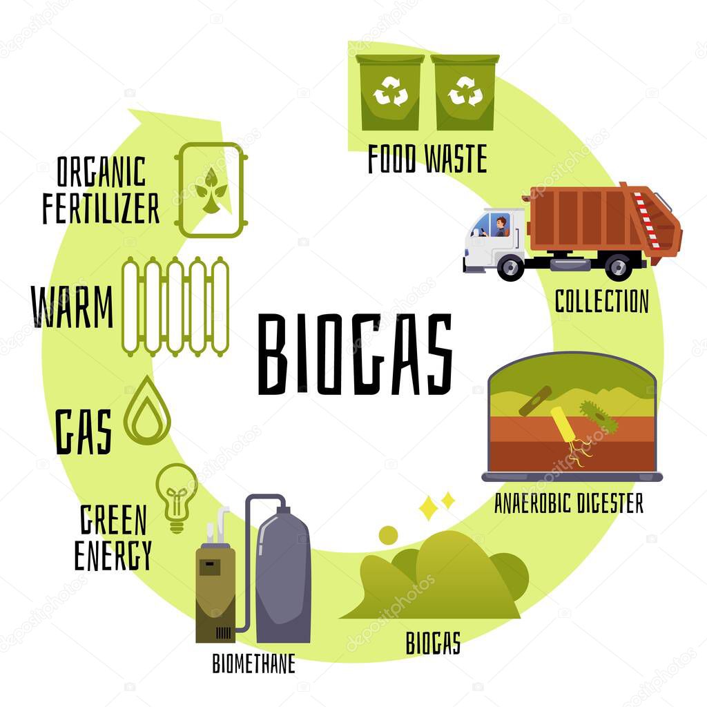 Biogas production and distribution cycle, flat vector illustration isolated on white background. Renewable energy infographics. Food waste collection, anaerobic digestion to biogas, green energy.