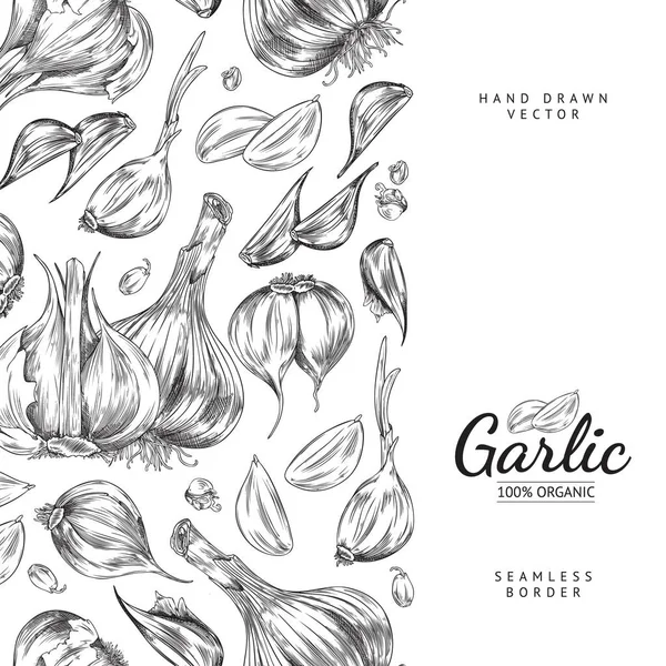 Organic Garlic Poster Template Seamless Border Sketch Vector Illustration White — стоковый вектор