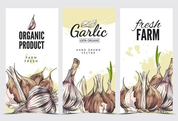 Set Banner Pubblicitari Prodotti Agricoli Freschi All Aglio Biologico Illustrazione — Vettoriale Stock