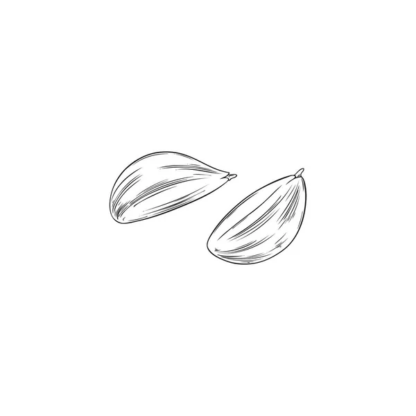 Garlic Cloves Hand Drawn Sketch Vector Illustration Isolated White Background — Διανυσματικό Αρχείο