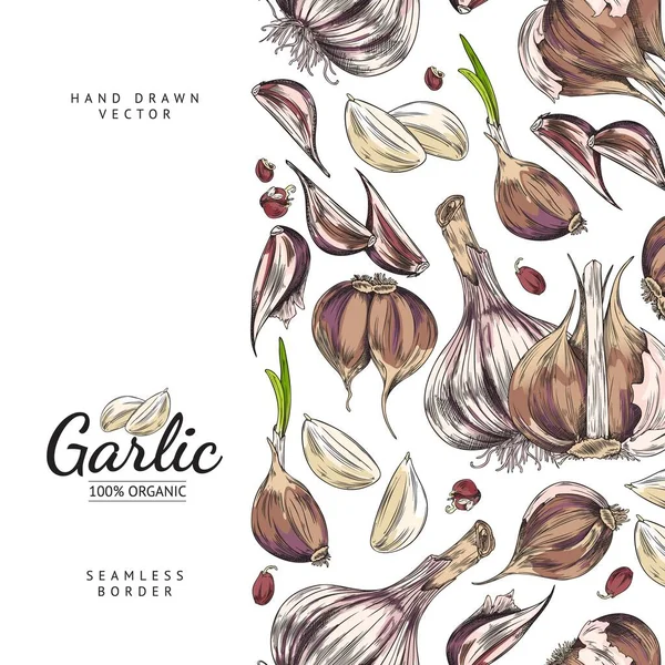 Vertical Seamless Border Hand Drawn Colorful Garlic Cloves Slices Sketch — Stock Vector
