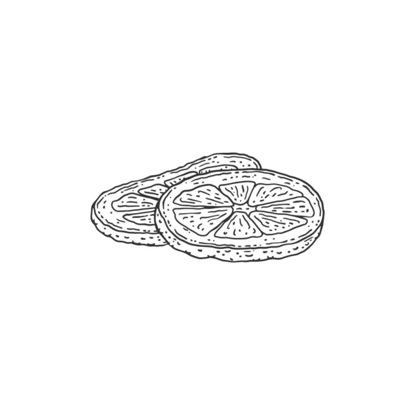 Slices Citrus Orange Lemon Fruit Engraving Sketch Style Vector Illustration —  Vetores de Stock