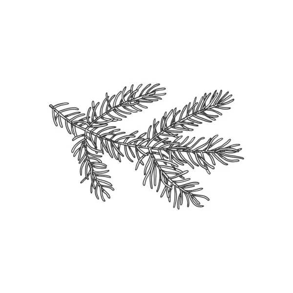 Pine Tree Branch Sketch Style Lush Evergreen Spruce Decoration New — Stockový vektor