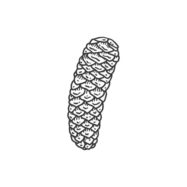 Fir Elongated Cone Hand Drawn Monochrome Engraving Vector Illustration Isolated — Stockvektor