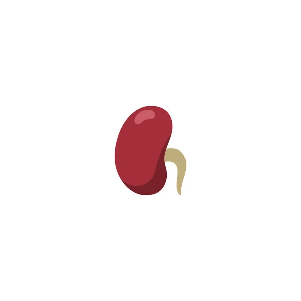 Red Kidney Bean Sprout Flat Vector Illustration Isolated White Background — Vetor de Stock