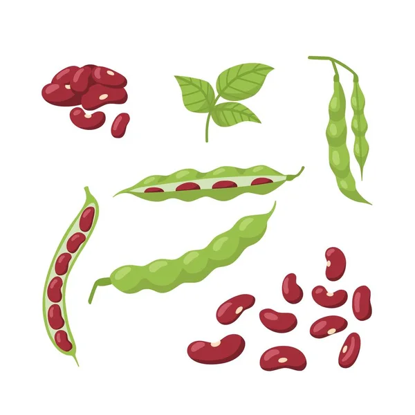 Set Pods Red Bean Leaves Isolated White Background Vector Flat — Stock Vector