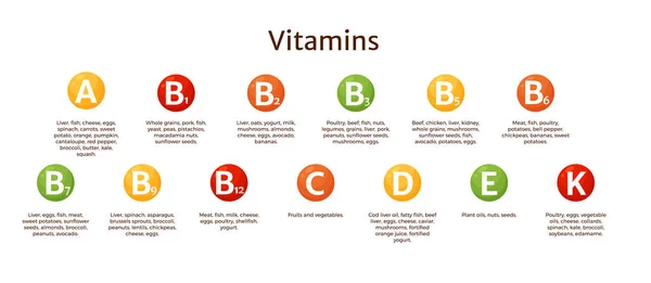 Vitamin Supplement Infographic Vector Chart Food Nutrition Sources Vitamins Group — Vector de stock