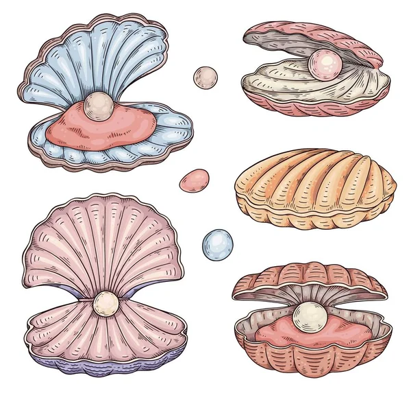 Seashells Natural Pearl Hand Drawn Sketch Style Vector Illustration Isolated — 图库矢量图片