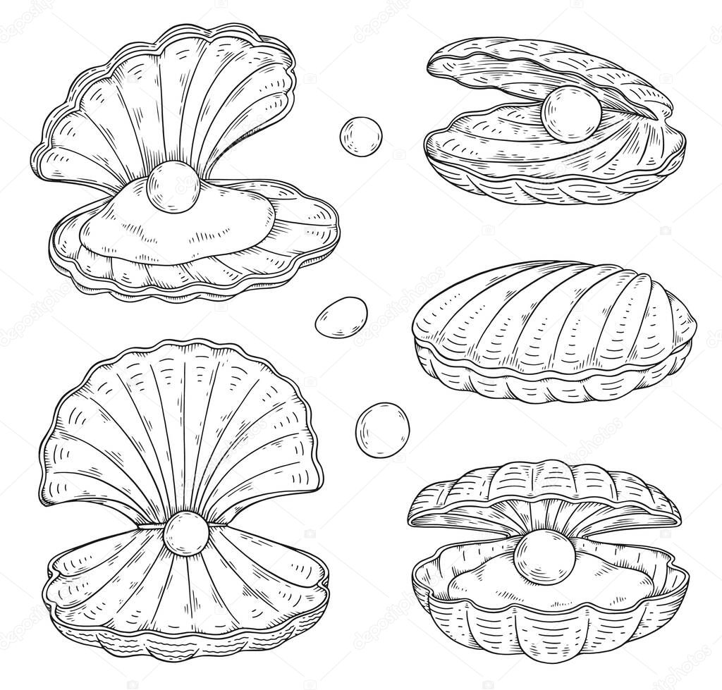 Seashell with pearl inside, hand drawn sketch vector illustration isolated on white background. Set of sea clam shells with gems. Marine life element with engraving texture.