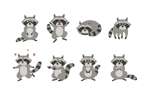 Raccoon Various Poses Different Emotions Flat Vector Illustration Isolated White — стоковый вектор