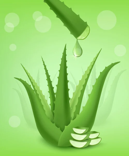 Aloe Vera Green Cactus Plant Aloe Gel Droplet Juicy Thick — Stock vektor