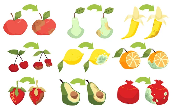 Rotten Fresh Fruits Collection Flat Cartoon Vector Illustration Isolated White — Stockový vektor